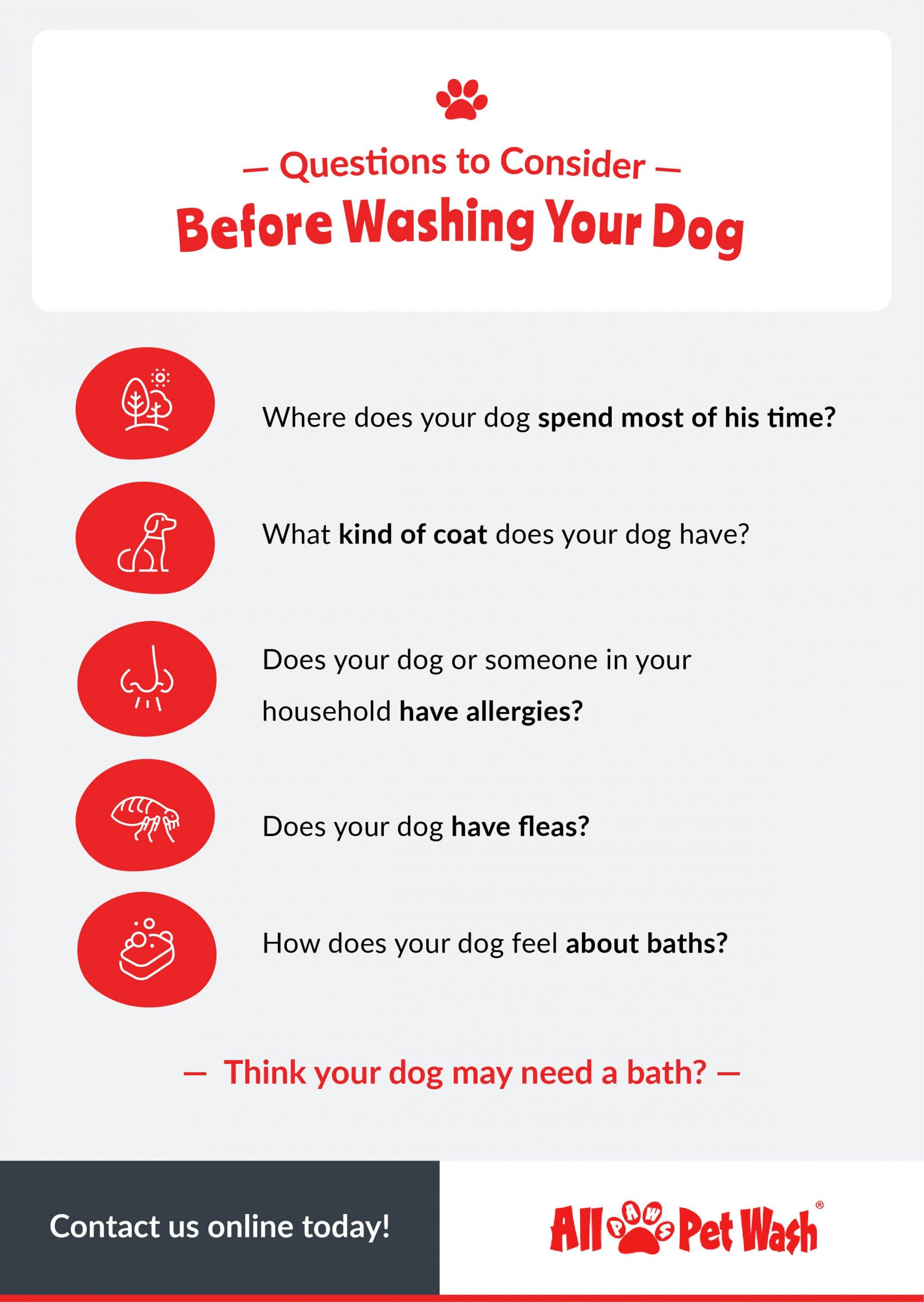 Micrographic - Questions to Consider Before Washing Your Dog