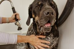 Bath time\'s a blast!