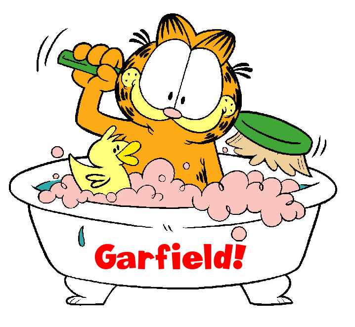 Garfield All Paws Pet Wash
