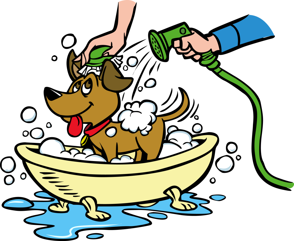 How.often Can You Wash Your Dog at Linda Smart blog