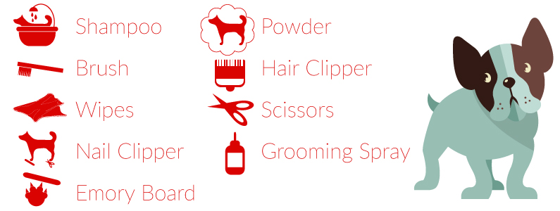 Materials Needed for Dog Grooming