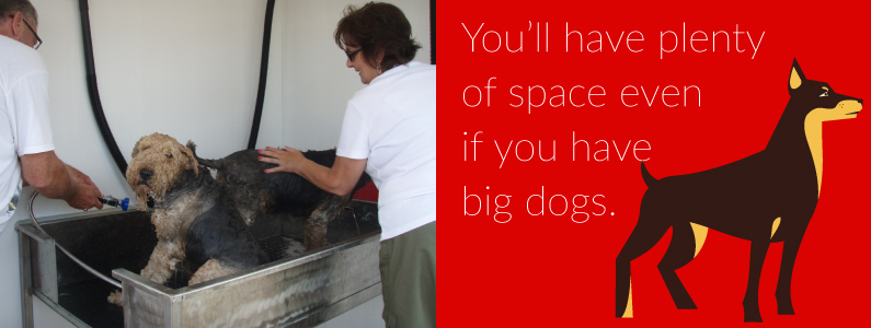 5-space-for-big-dogs