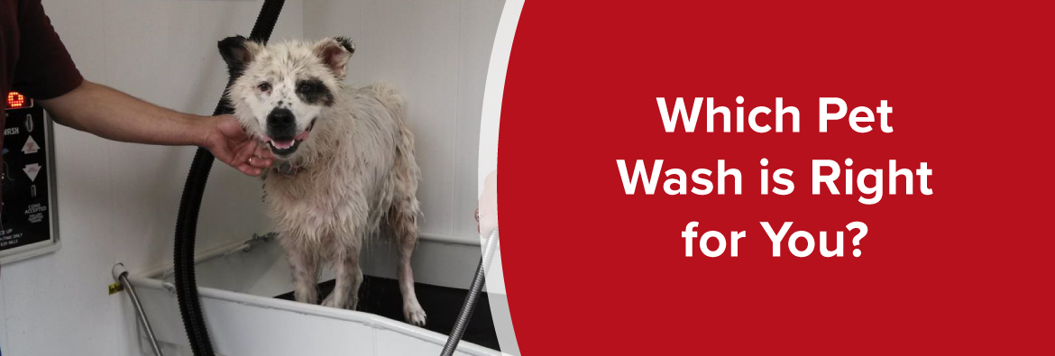 which pet wash is right for you