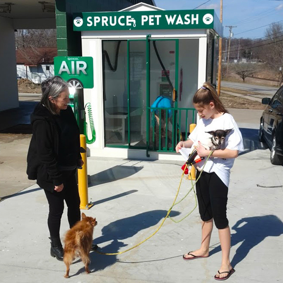 Customers washing multiple dogs at once at spruce pet wash.