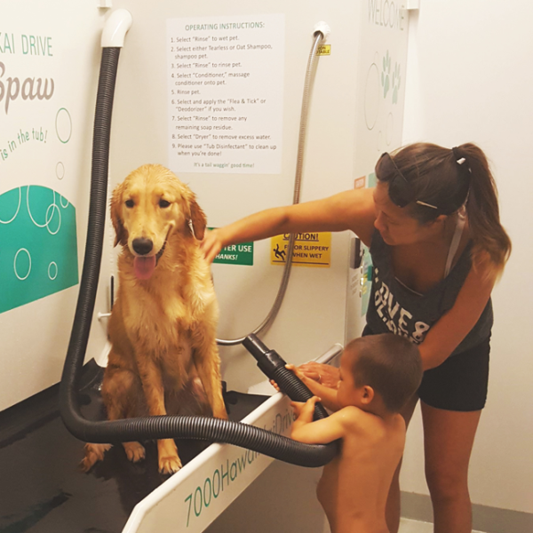 Testimonials All Paws Pet Wash