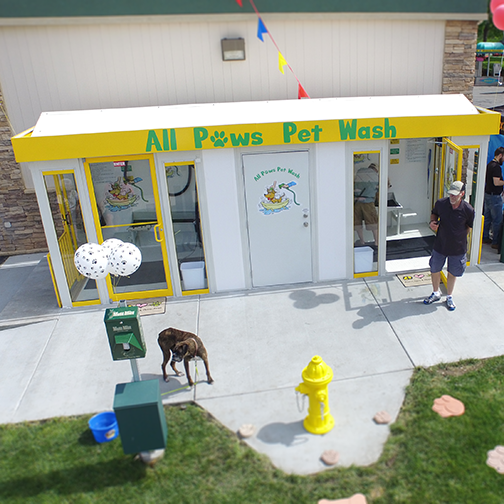 a dog standing in front of an All Paws Pet Wash washing station