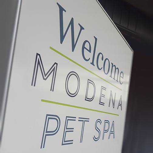 welcome paw spa