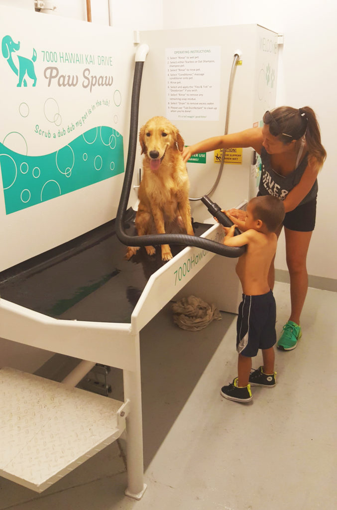 A little boy is washing his dog with his mom in the Paw Spaw.