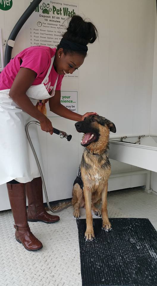 A lady washing her smiling large German Shepard on the specially designed floor.