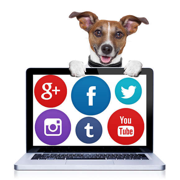 a dog is holding a laptop with social media icons on it