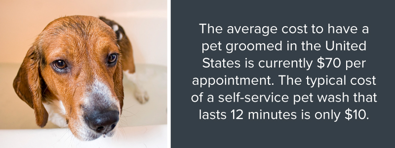 Save money by grooming pet at a pet wash