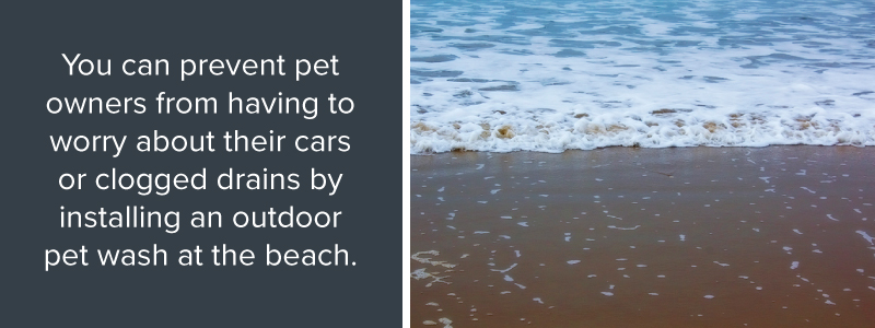 Install pet wash at the beach