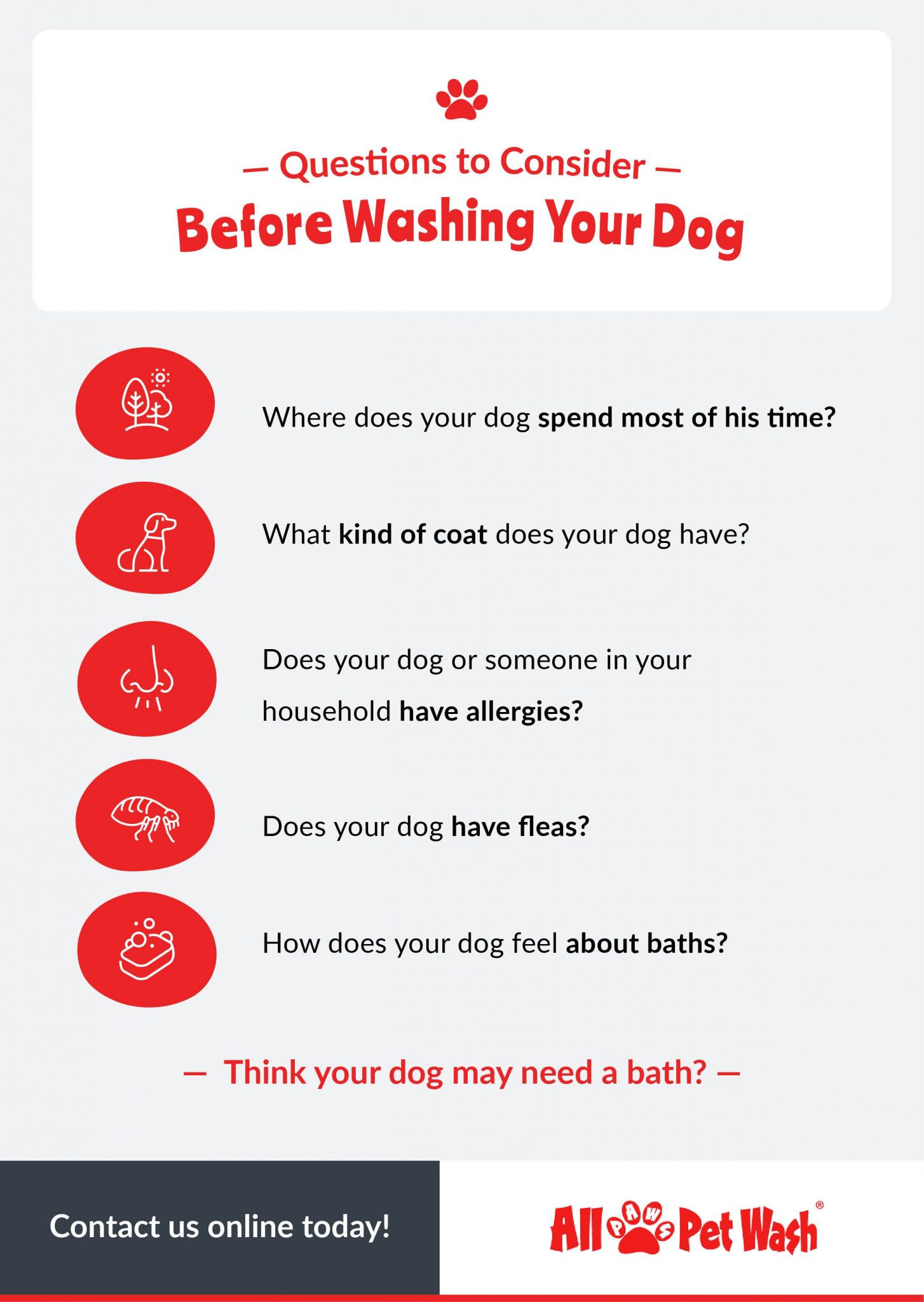 How Often Should You Wash Your Dog? All Paws Pet Wash