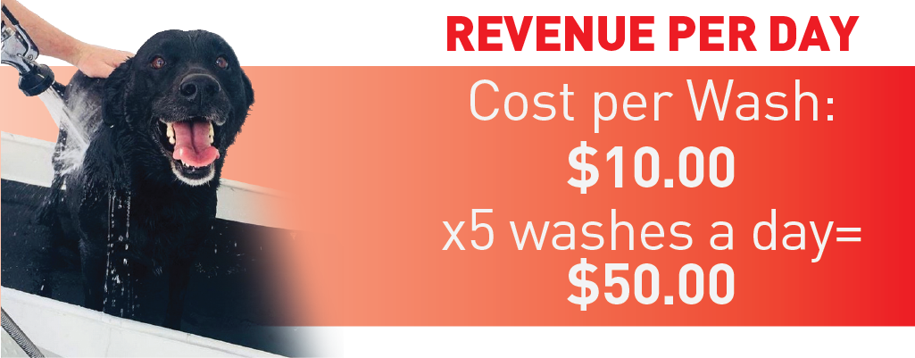 dog wash cost