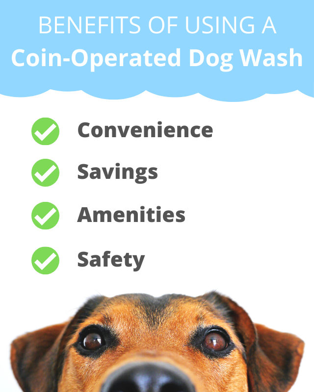 walk in dog wash near me