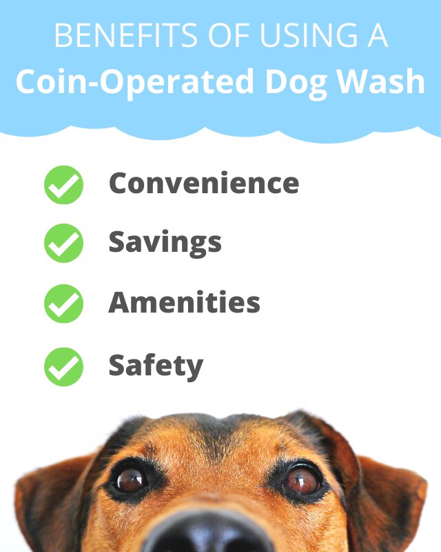 Benefits of Using Coin Operated Dog Washes