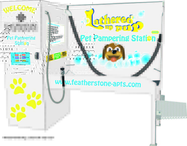 an artist's rendering of a pet pampering station from All Paws Pet Wash